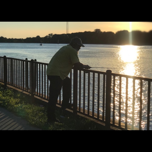 Meet your Posher, Hattie - Picture 9 of 16